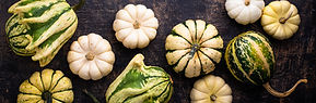 Fall Squash