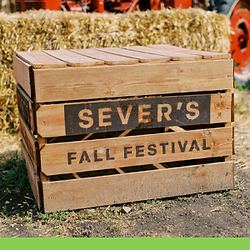 Severs Pumpkin Patch