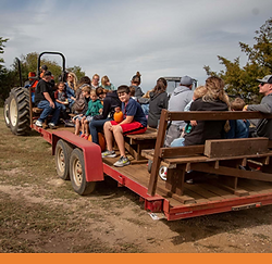 Riverview Tree Farm Pumpkin Patch