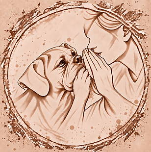 AD9C8693-B887-42E7-A6B2-2B2447CF0D45.PNG