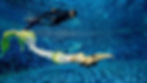 Mermaid.jpg