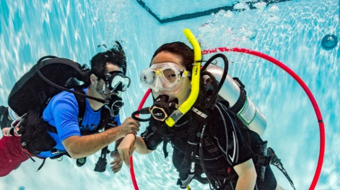 Thumbnail: PADI Seal Team