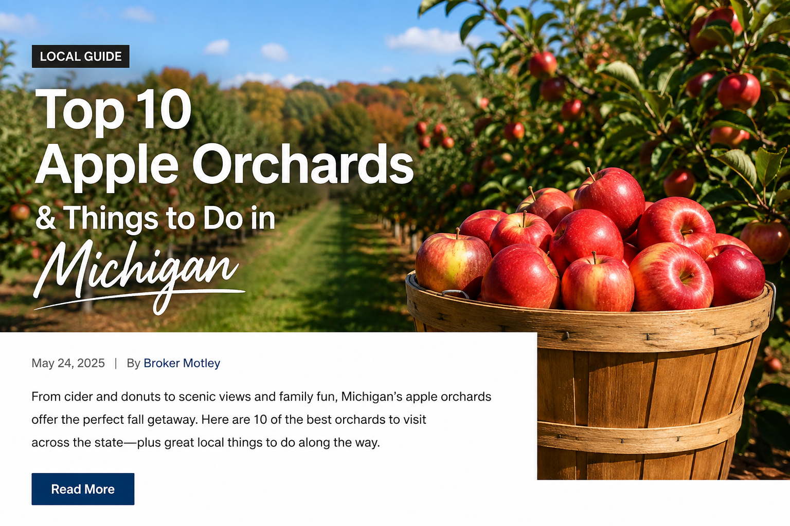 Michigan apple orchard with red apples for a fall guide to the top apple orchards and things to do in Michigan