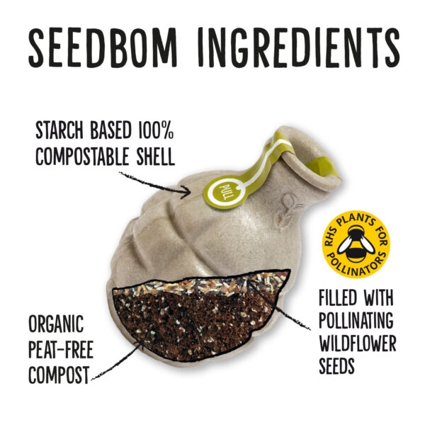 Thumbnail: Starflower Seedbom