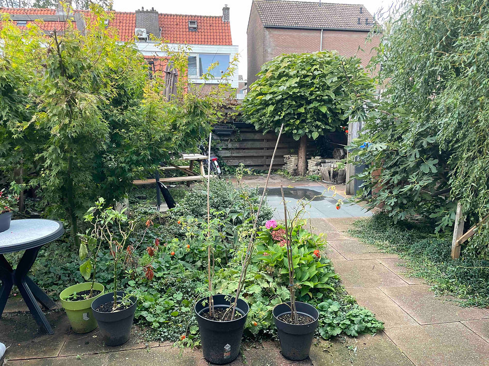 Oude situatie