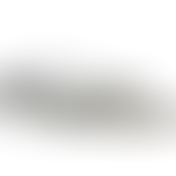 Rénovation du COSEC - Saint Maurice