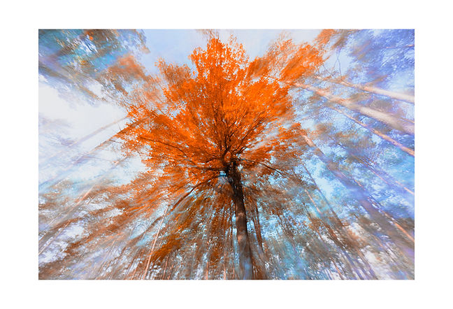 Herbst_60A0037-2.jpg