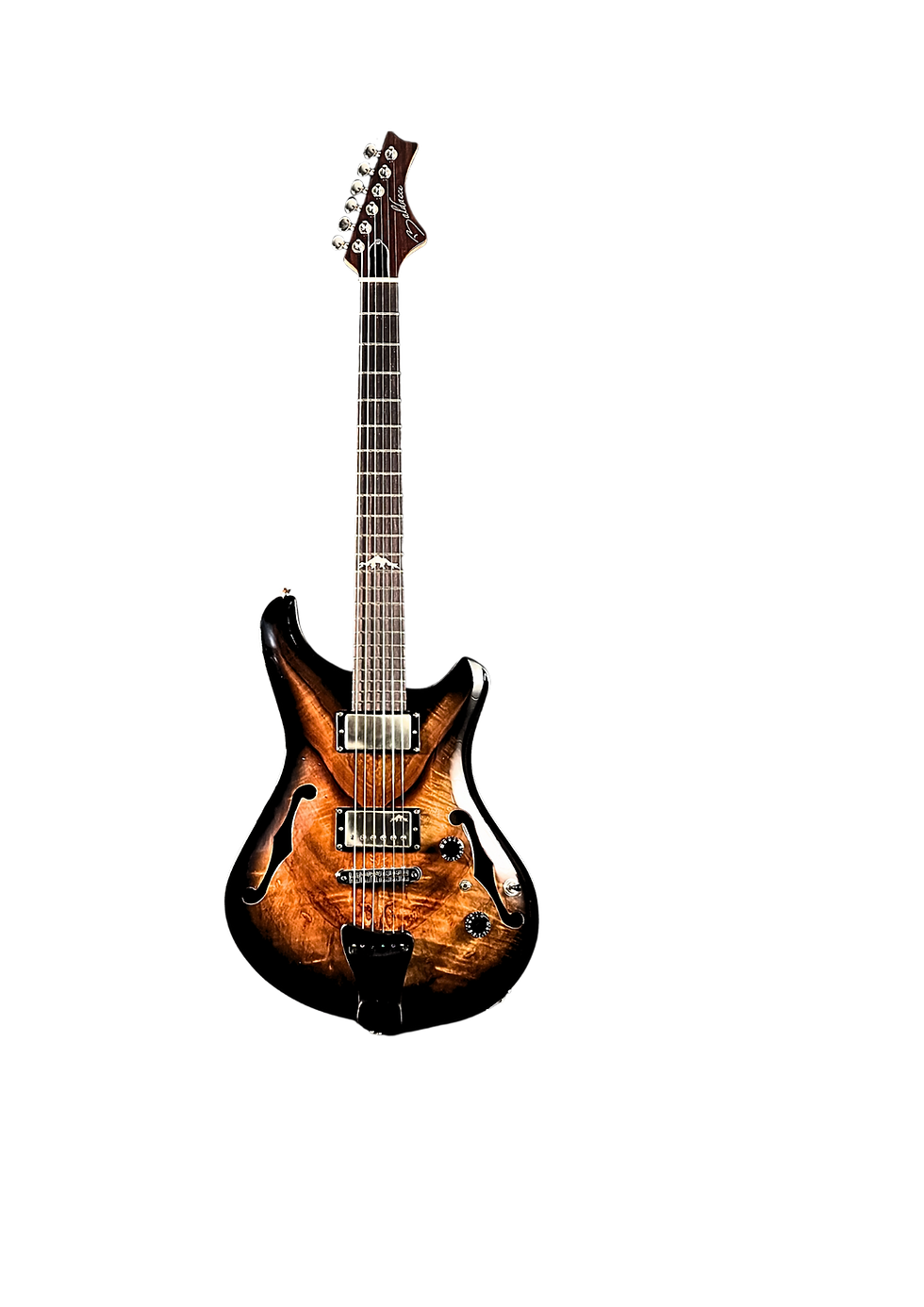Thumbnail: Bighorn Hollowbody L-Mod