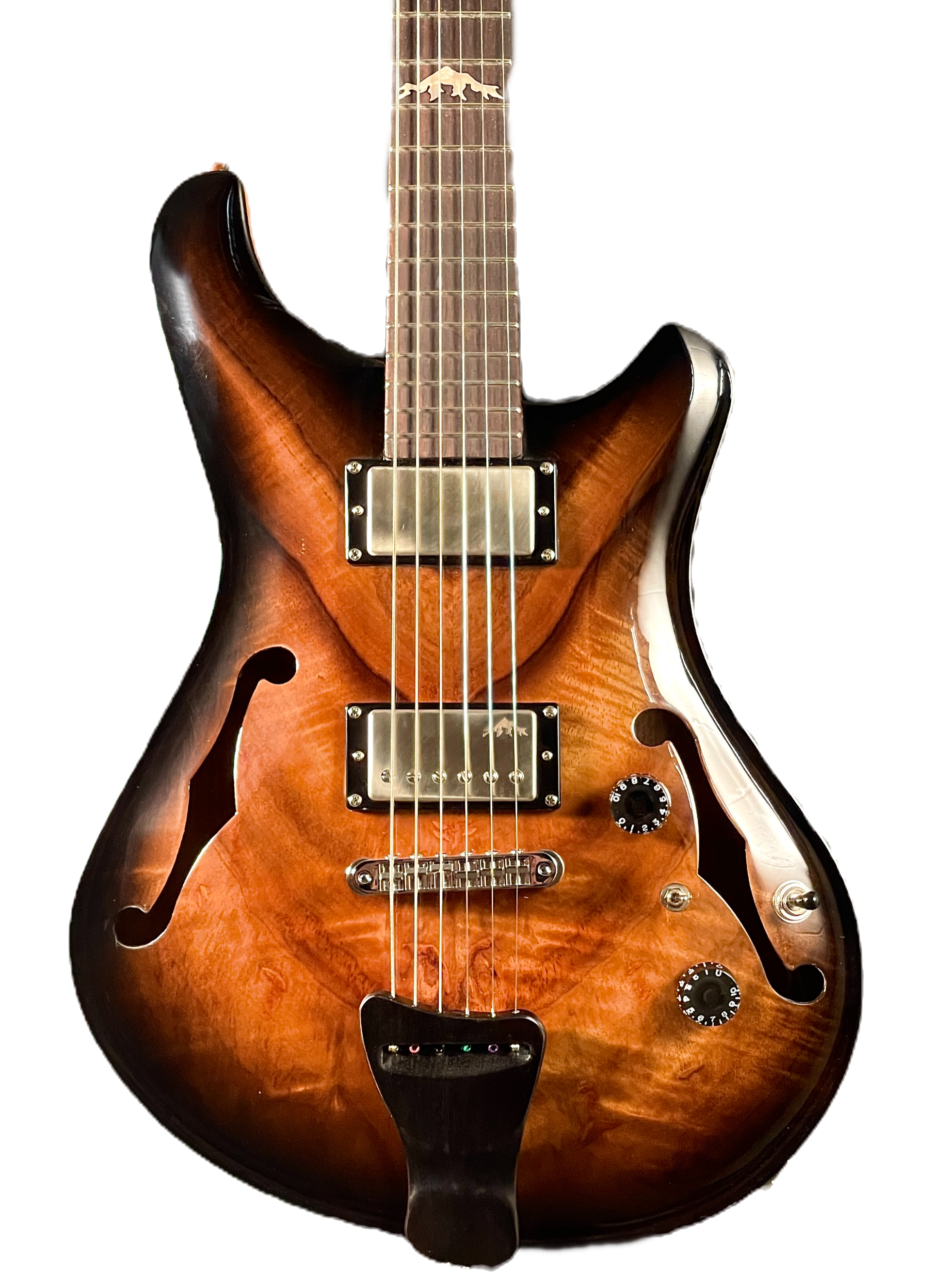 Bighorn Hollowbody L-Mod