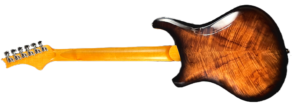 Thumbnail: Bighorn Hollowbody L-Mod