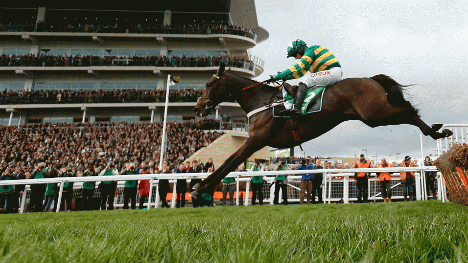 Cheltenham Festival 2019: your essential guide