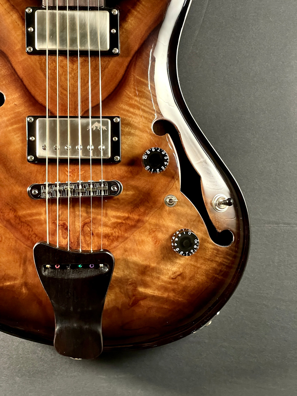 Thumbnail: Bighorn Hollowbody L-Mod