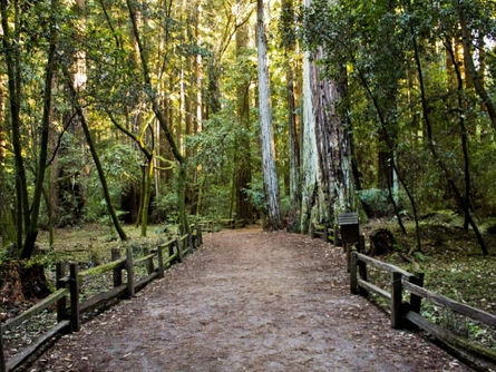 Discovering the Natural Wonders: Top Hiking Trails in the Poconos