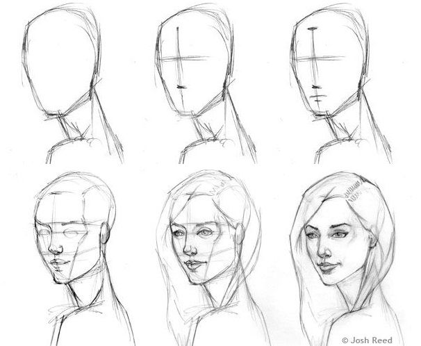 From "Drawing a Head," a guide by Josh Reed