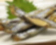 ししゃも　Shishamo