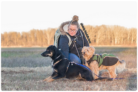 Dans La Tête D'un Chien