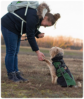 dans la tete d'un chien