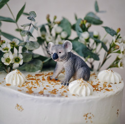 Baby cake - Koala 2.jpeg