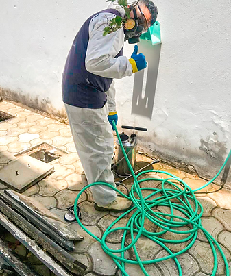 Dedetização em Juazeiro do Norte