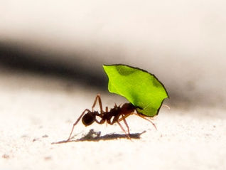 What It Takes to Be a DIY Investor