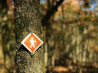 Paying for Financial Advice