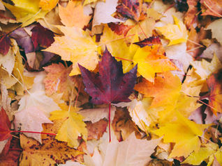 What's Your Retirement Number?