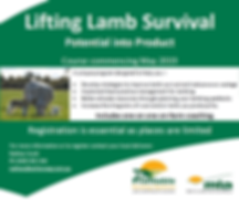 LLS Website image.png