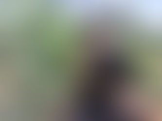 What Are The Basics?: Understand The Big Three In Photography