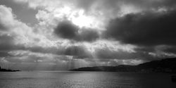 Waterfront morning