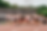 2026-05-02_SheStrides_032.PNG
