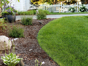 Top Tips to Protect Your Landscape from Summer Heat Stress
