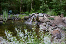 a small waterfall is surrounded by rocks and flowers
