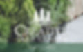 creative tree center gift card
