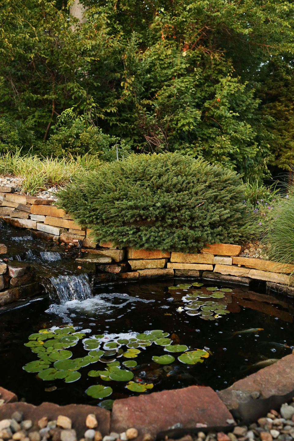 a pond with water lilies and a waterfall in the background