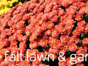 5 fall lawn and garden tips