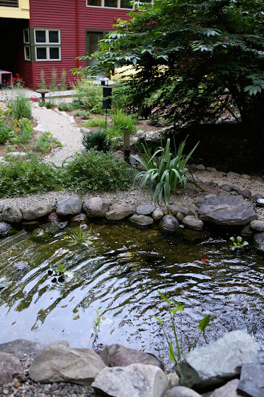 a pond surrounded by rocks and plants in a garden