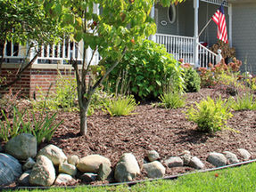 5 Water-Wise Lawn and Garden Tips