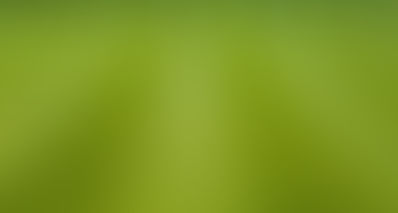 Luxurious Lawn Makeover