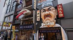 PXL_20240427_020559054.MP copy.jpg