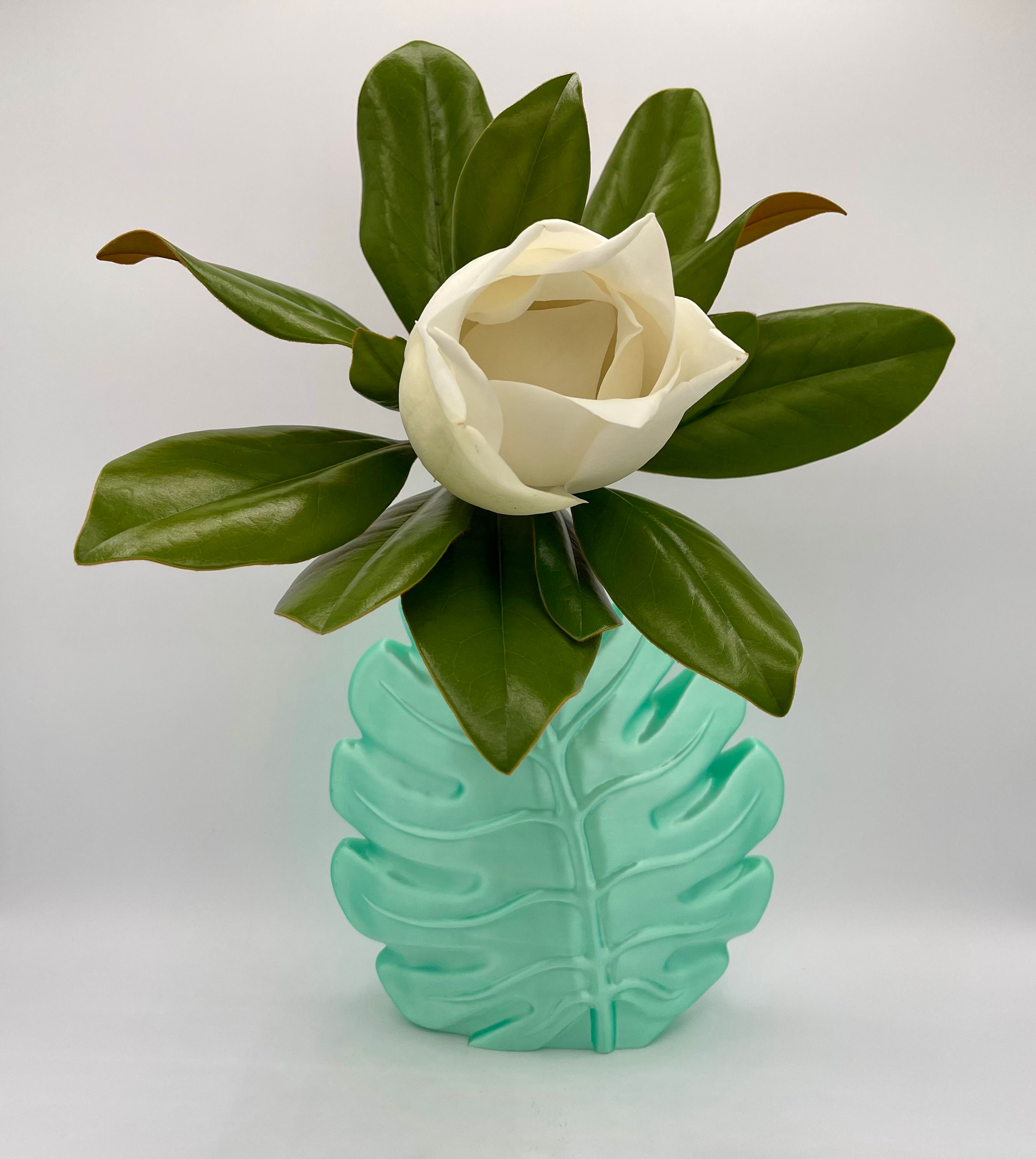 Monstera Zen Vase