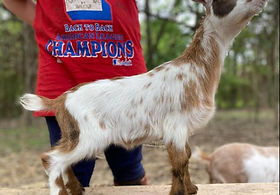 -6279635020204182298 (1)_edited.jpg