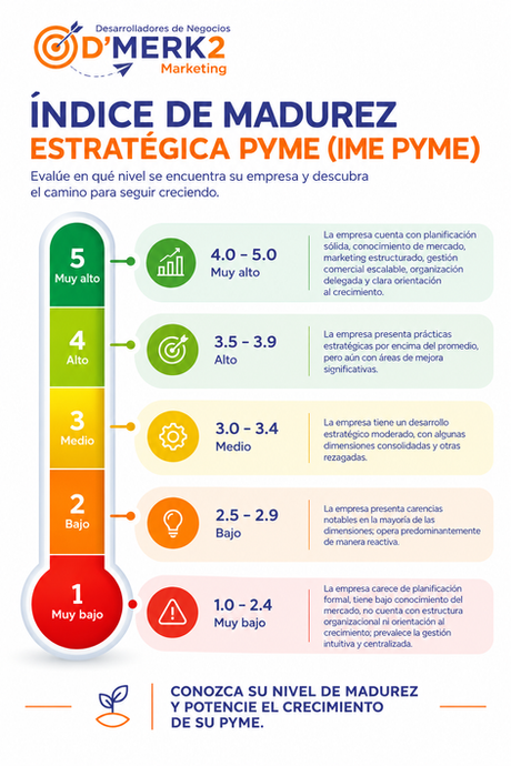 Madurez Estratégica PYME