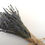 Thumbnail: Lavender Dried Bundles
