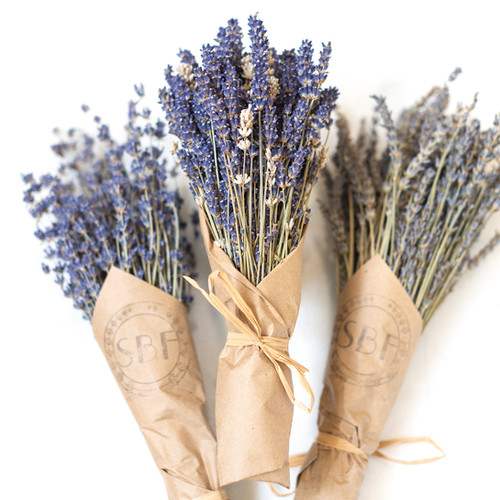 Lavender Dried Bundles Southbayfields