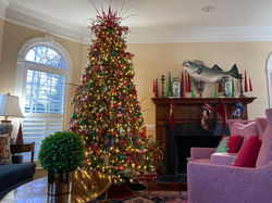 Holiday Interior Install
