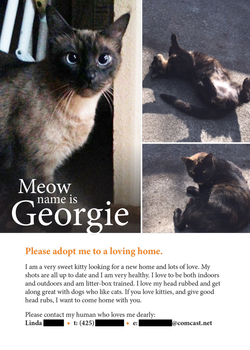 Meow name is Georgie