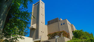 3501592_l.jpg