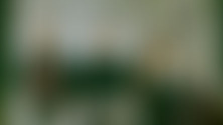 The Devil Makes Three