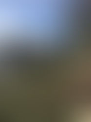 Loading Diana Ross Backline for Las Vegas 3 Week Run Going Out Today