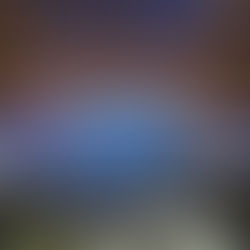 Gwen Stefani and Backline Source!